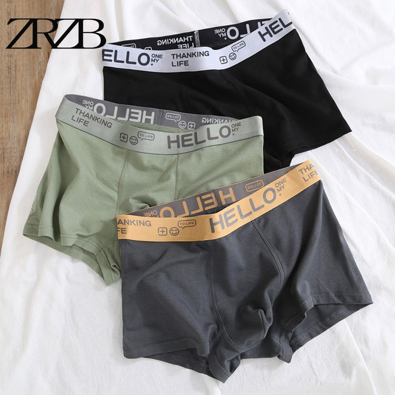 Men's Panties Underwear Boxer Shorts Comfortable Milk Silk Cotton Underpants Cuecas Calzoncillos Boxershorts Lot Plus Size L-5XL