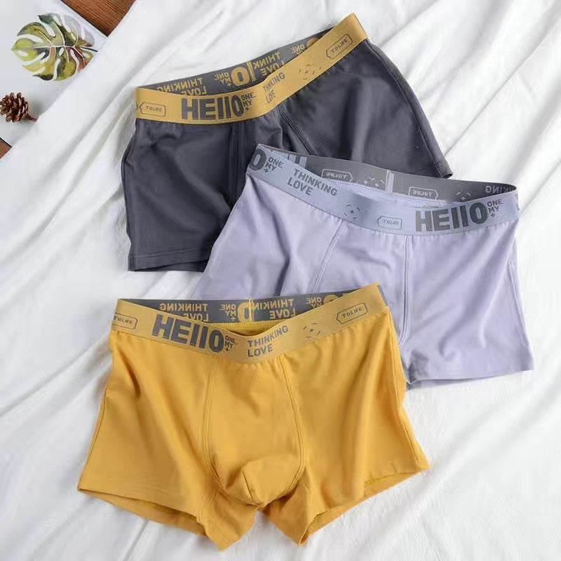 Men Panties Cotton BoxerShorts Man Underwear For Men Boxers Breathable U Convex Male Underpants Sexy Plus Size Mens Shorts L-7XL