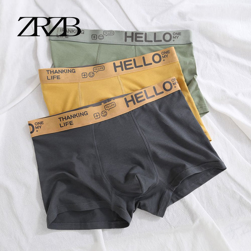 Men's Panties Underwear Boxer Shorts Comfortable Milk Silk Cotton Underpants Cuecas Calzoncillos Boxershorts Lot Plus Size L-5XL