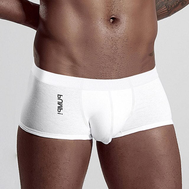 Free Shipping Underwear Mens Boxer Homme Cotton Men's Underpants Soft Men Boxer Shorts Men Underwear Boxers Male Underwear Penis