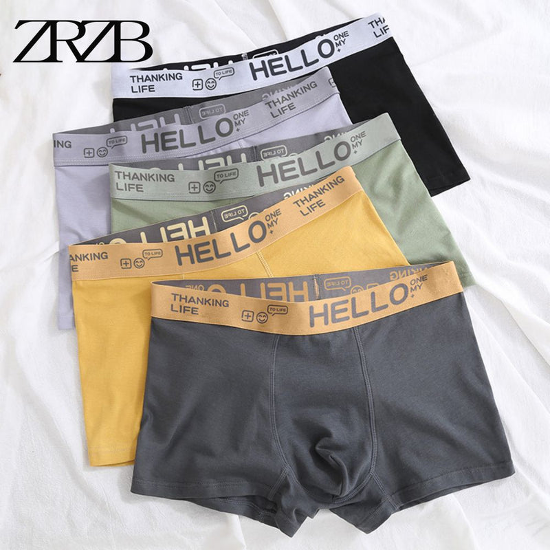 Men's Panties Underwear Boxer Shorts Comfortable Milk Silk Cotton Underpants Cuecas Calzoncillos Boxershorts Lot Plus Size L-5XL